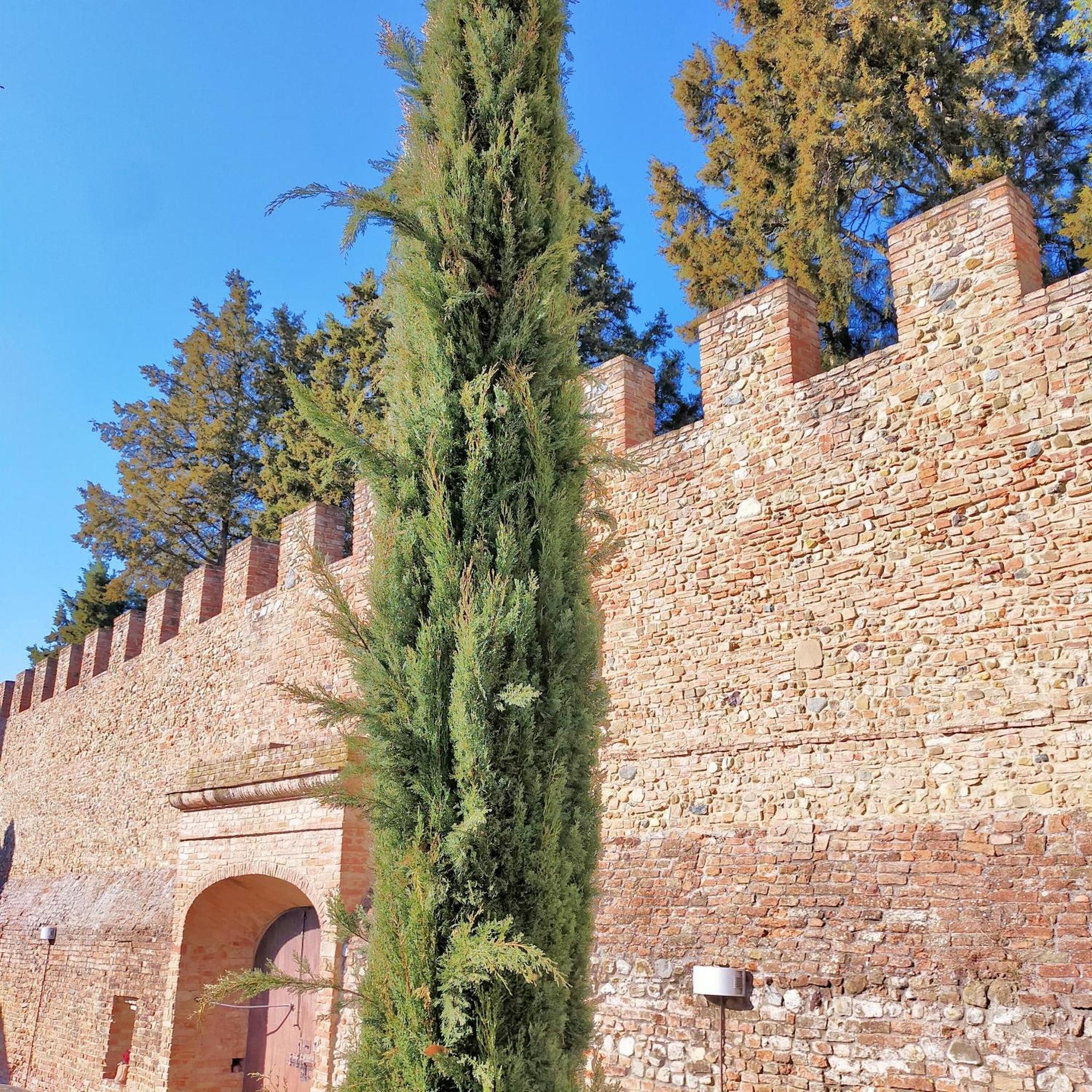 Palazzo Stiozzi Ridolfi Lägenhet Certaldo Exteriör bild